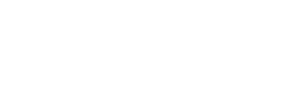 Mini Dev